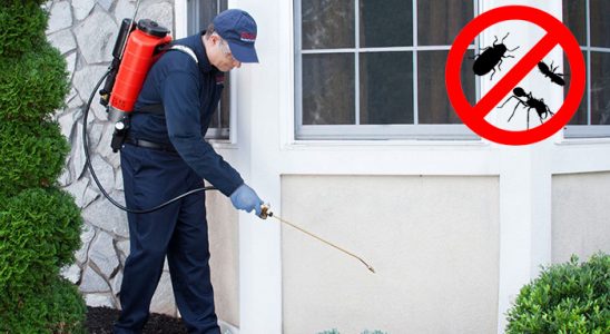 Payamlı Akrep İlaçlama böcek ilaçlama ve haşere kontrolü — ilaclama-tr.com